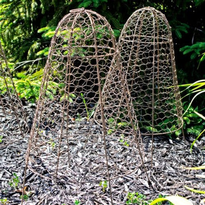 Set of Six Panacea 83280 Rustic Wire Garden Cloches, 20" H Each