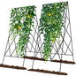 Cucumber Trellis 2 Pack,Foldable A-Frame Garden Trellis - color: Black, size: 39.4" H