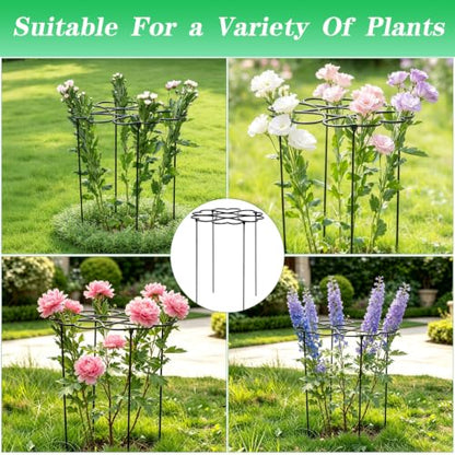 Dahlia Stakes and Supports - 24.5" Heavy-Duty Iron Plant Cages - color: Black