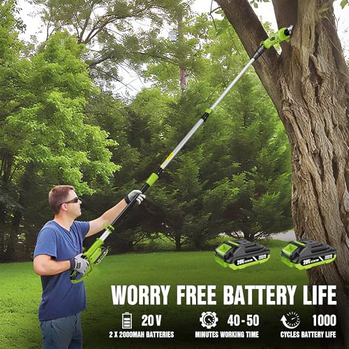 Cordless Pole Saw, 20V Electric Pole Chainsaw for Tree Trimming