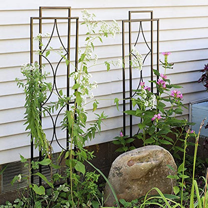 Sunnydaze 48" Black Metal Garden Trellis for Climbing Plants, 2-Pack - style: Chic Diamonds - 48"