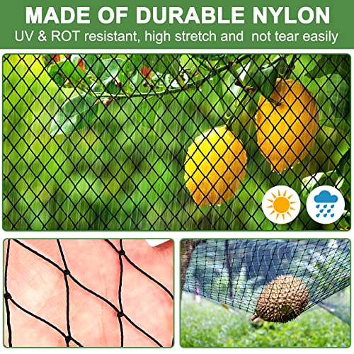 DQS Bird Netting 25x100ft, 1" Square Mesh Poultry Netting for Chicken Coop - size: 1", 25' x100'