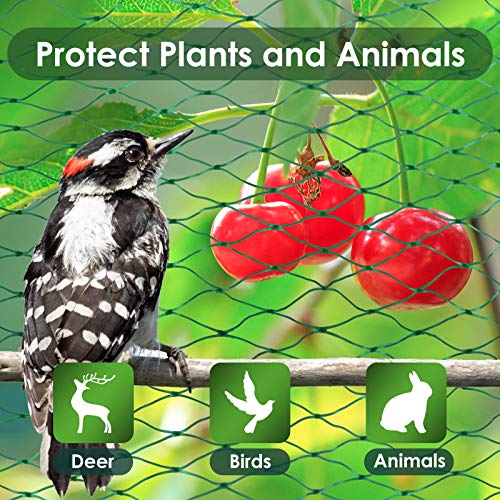 13X40Ft Bird Netting for Garden Protect Vegetable Plants and Fruit Trees,Plastic Trellis Netting for Birds, Deer,Squirrels and Other Animals - size: 13X40