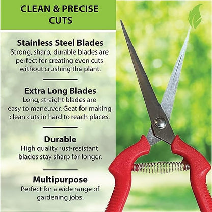 Garden Guru Extra Long Stainless Steel Pruner Pruning Shears Clippers Snips Sharp Bonsai Cutter Plant Trimming Scissors Straight Blade Garden Scissors Tool Great for Roses Flowers Herbs Fruits(2 Pack) - size: 2 Pack, style: Long Blade Snips