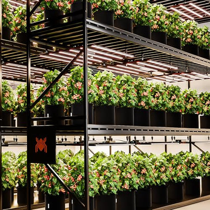 Spider Farmer G8600 LED Grow Lights 800W, App‑Controlled & Osram Red - size: 5X5 Coverage, 800W