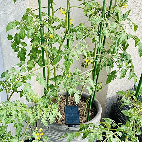 Garden Stakes, 30 Inch 2.5Ft Steel Plant Tomato Stakes, 25 Pack - size: 30 inch