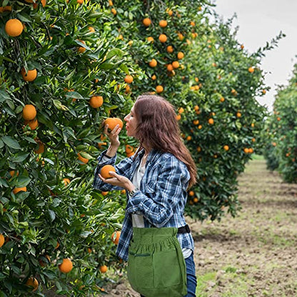 codree Harvest Apron for Garden Vegetable-Adjustable Harvest Picking Apron with 4 Pockets for Gardeners Pick Fruit Weeding - color: Green - 2pcs