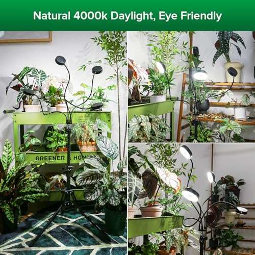 SANSI Grow Light for Indoor Plants, 40W 4-Head Tripod Stand Plant Light - color: Black-4-Head