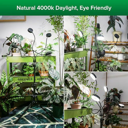 SANSI Grow Light for Indoor Plants, 40W 4-Head Tripod Stand Plant Light - color: Black-4-Head