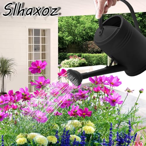 2L Watering Can Pitcher Water Pot, 2-in-1 Pour/Shower (Black) - color: Black