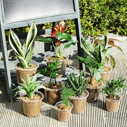 JNYONG 120 Pack 4 Inch Clear Nursery Pots with Drainage Hole - size: 4 Inch 120 pack