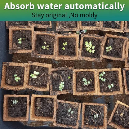 TCBWFY 640Cells Seedling Start Trays,40 Pack Peat Pots Seedling Pots Biodegradable,Seedling Starter Kit,Organic Germination Plant Starter Trays - size: 640cells-40pcs