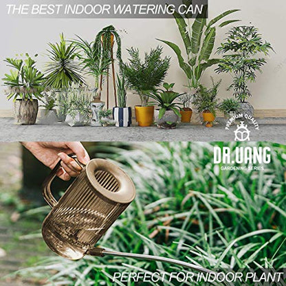 Small Watering Can Indoor Plants with Long Spout (1L, Amber Brown) - color: Amber Brown