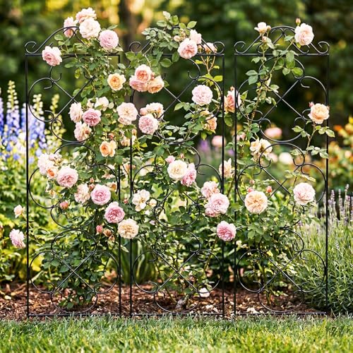 Thealyn 4 Pack 48" x 12.5" Metal Trellis for Potted Plants and Planters - size: 48 inch