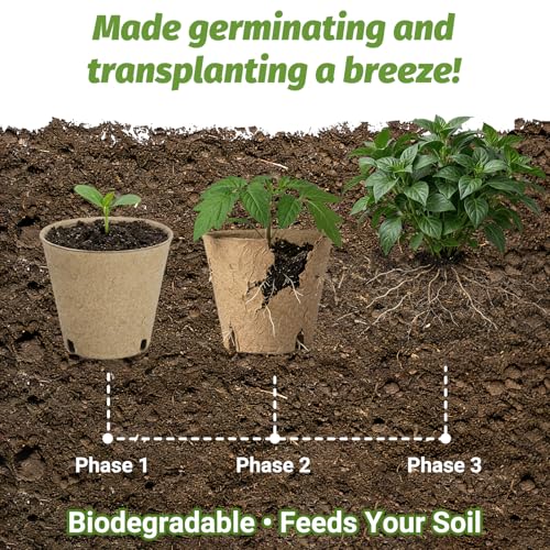 60Pcs 3.1 Inch Peat Pots - Nursery Pots with Drainage Holes for Seedlings