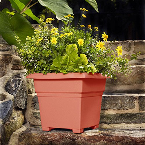 Root & Vessel Countryside Square Planter, Terra Cotta, 18-Inch - color: Terra, size: 18-Inch