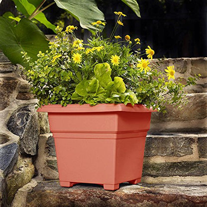 Root & Vessel Countryside Square Planter, Terra Cotta, 18-Inch - color: Terra, size: 18-Inch