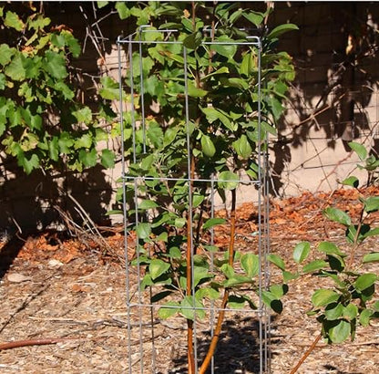 4 Pack 12x39 Inch Galvanized Folding Square Tomato Cages - size: 39in Sq-Galvanized-4Pack