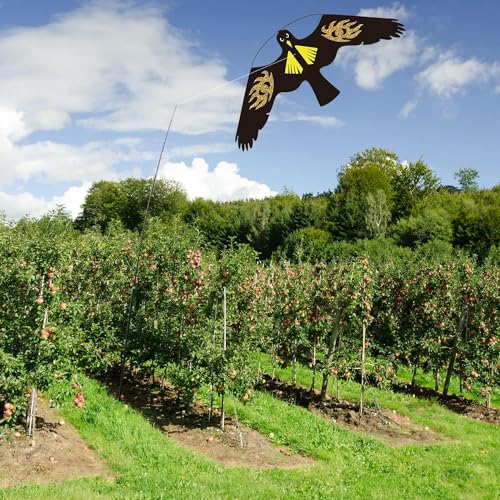 Bird Scarer Kite Without Pole Bird Hawk Flying Kite-Style E - color: Style E no pole