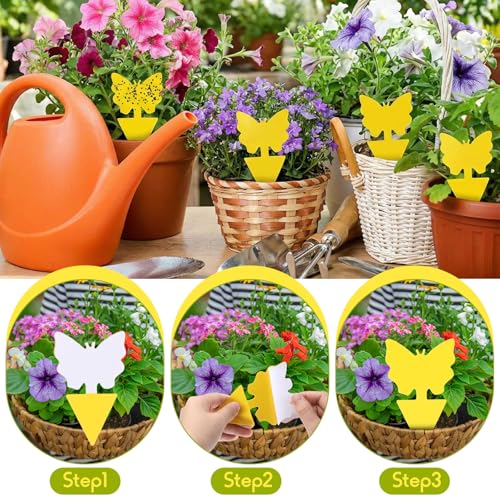 60 Pack Fruit Fly Traps Fungus Gnat Sticky Traps Yellow Black Green Plant Fly Stickers Double Side with Shovel for Indoor Outdoor Kitchen Garden Houseplant Flying Bug Insect (Butterfly) - style: Butterfly