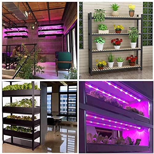 T5 Grow Lights for Indoor Plants Linkable 1ft LED Growing Lamp Plug in 2pc
