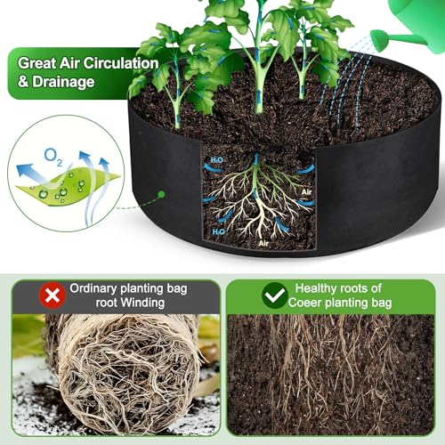 50 Gallon Large Grow Bag, Heavy Duty Fabric Round Raised Garden Bed - size: 50 Gallon (36" D x 12" H)