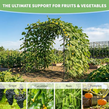 DoCred 88"H x 88"L Garden Arch Trellis, Garden Archway for Climbing Plants - size: 88''H x 88''L x 88''W