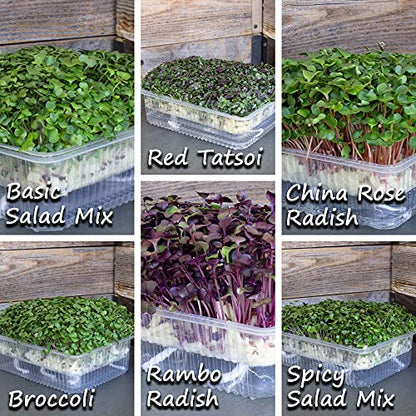 Mountain Valley Seed Co Self Watering Indoor Microgreens Kit - Hydroponic - size: Hydroponic