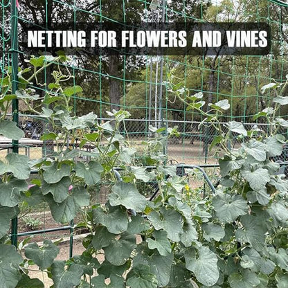 Trellis Netting, Heavy-Duty Garden Grow Netting for Climbing Plants, Outdoor Indoor Net for Cucumber, Tomatoes, Beans, Clematis, Fruits & Vegetables, Climbing Vining Plants (8.2' x 6.6'Ft) - size: 8.2' x 6.6'Ft