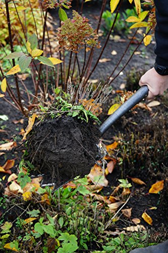 DeWit Shark Tine Spade, Lightweight Garden Tool - size: Shark Tine Spade