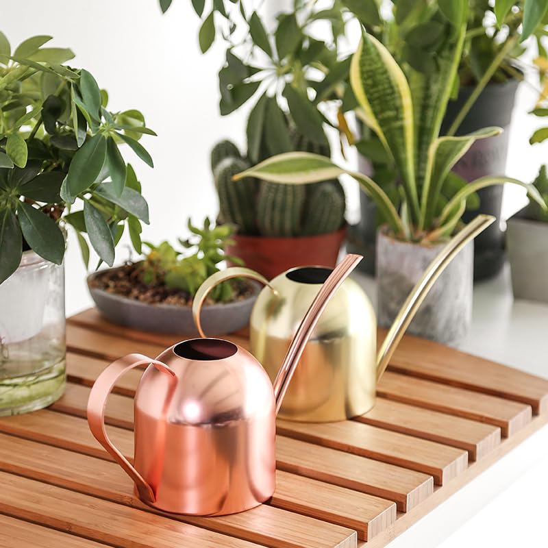 Gold Watering Can for Indoor Plants, 450ml/15oz Metal - size: Gold 15 oz