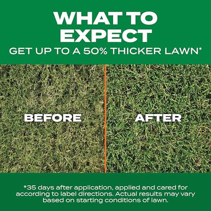 Scotts Turf Builder Thick'R Lawn Bermudagrass - Covers 1,200 sq. ft., Combination Seed, Fertilizer and Soil Improver, Fill and Repair Gaps in Thin Lawns and Enhance Root Development, 12 lb. - size: 12 lb.