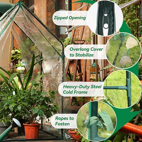Gardzen Mini Greenhouse with Waterproof Bottom 36.2"(L) x36.2(W) x59.5(H) - size: 36”(L) x36”(W) x59”(H)