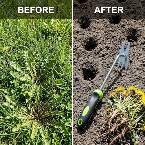 2-in-1 SS Crack Weeder & Cultivator, Ergonomic Rust-Resistant Grip - color: green