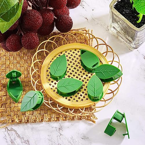 LUOTIVON 24 Pcs Plant Climbing Wall Fixture Clips, Plant Fixer Invisible Wall Vines Fixing Clips with 24 Pcs Acrylic Adhesive Sticker, Self-Adhesive Hook Plant Vine Support Holder
