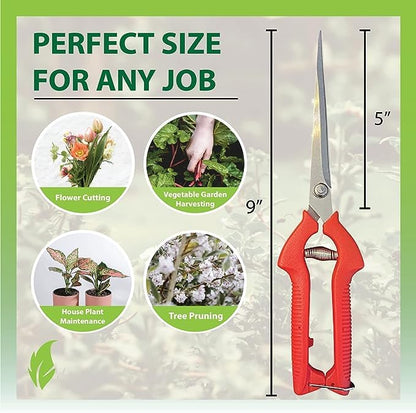 Garden Guru Extra Long Stainless Steel Pruner Pruning Shears Clippers Snips Sharp Bonsai Cutter Plant Trimming Scissors Straight Blade Garden Scissors Tool Great for Roses Flowers Herbs Fruits(2 Pack) - size: 2 Pack, style: Long Blade Snips