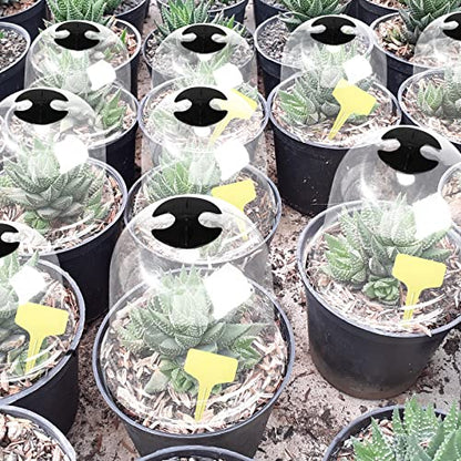 Remerry 20 Pack Garden Cloches for Plants Clear Bell Covers 7.3x6.7 Inch