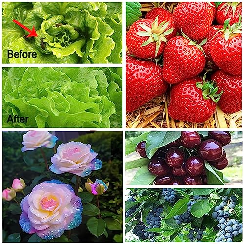 RIFNY Garden Netting for Raised Beds Garden Protection Plant, 1 Pcs 10x33Ft - color: White-1 Pack, size: 10x33 ft
