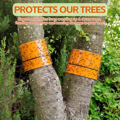 12 Rolls Spotted Lantern Fly Tree Trap 30 Feet Each Roll Lanternfly Tree Outdoor Fruit Fly Sticky Strips Paper Insect Sticky Barrier Trunk Wraps to Protect Plant, Lawn, Garden(Orange) - color: Orange