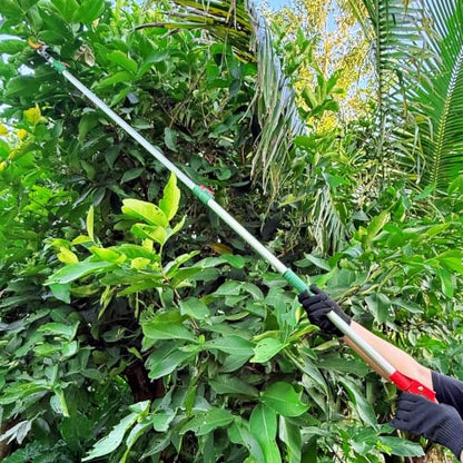 2-in-1 Fruit Picker with Tree Trimmer Pole Garden Tool