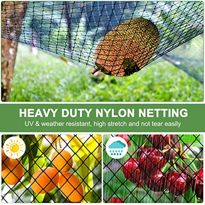 Bird Netting 50'x50' Heavy Duty Nylon Net with 2" Mesh, Chicken Netting - size: 2", 50' x 50'