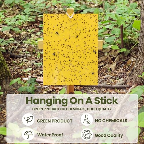 Qualirey 300 Pcs 6 x 8 in Yellow Sticky Traps for Gnats Plant Insect Trap - color: Yellow