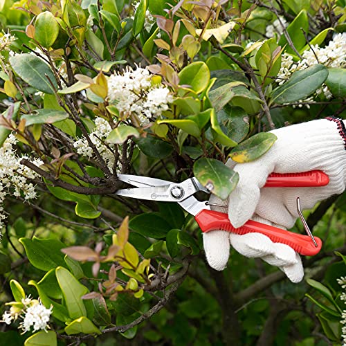 Sanung 910 2 PACK Garden Pruning Shears Multipurpose Flower Stems Branch Fruit Picking Shears Scissors Gardening Hand Pruners with Straight Steel Blades Safety Lock