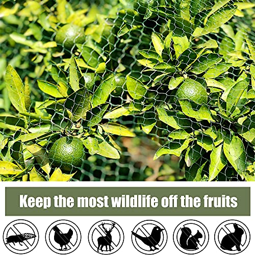 Bird Netting for Garden 13x26ft 0.4inch Mesh Green Garden Netting Protect Fruit Trees, Blueberry Bushes, Strawberry Plants, Vegetables, Flowers from Birds, Deer, Squirrels, Rabbits and Other Animals - size: 13x26ft, 0.4inchx0.4inch mesh