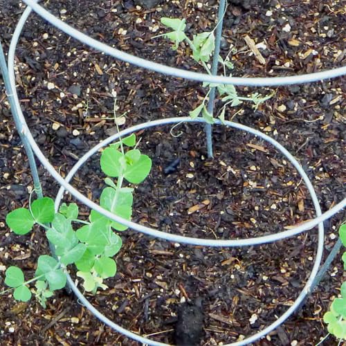 BestNest Panacea 89723 Round Tomato & Pepper Towers, Galvanized, Pack of 20