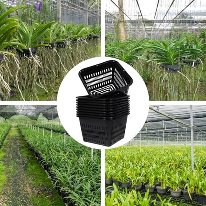 Hemoton Orchid Planter Pot Plastic Black 10 Pack 7.07 X 7.07 X 4.32 inch
