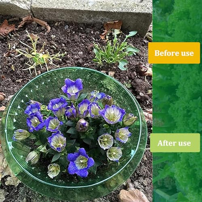 Fshow Slug & Snail Collars,30pcs Snail Garden Cloches,Snail Collar Protects Plants to Get Better. - color: green 30pcs