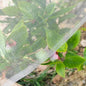 8x10Ft Ultra Fine 0.01 Inch Mesh Garden Netting Tiny Insect Protection - size: 8Ft x 10Ft