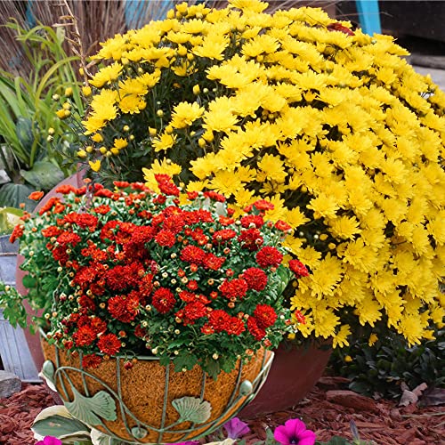 4PCS Coco Liner for Hanging Basket 18 Inch Round 100% Natural Planter Liner Replacement - color: 4pcs, size: 18inch