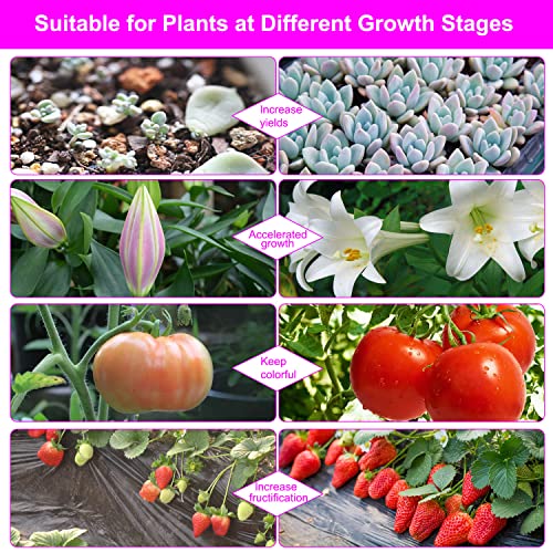 Grow Lights for Indoor Plants, Full Spectrum Dual-Head Clip Plant Lights - size: Red+Blue-2 Head 2 Pack